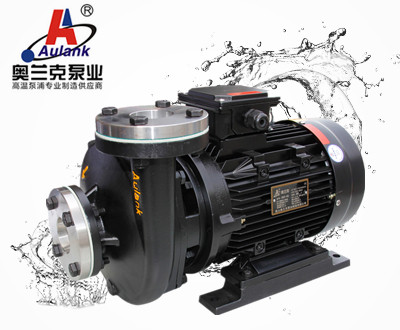 RGP-40熱壓機高溫導熱油泵